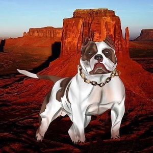 Meet your Posher, Rodrigo